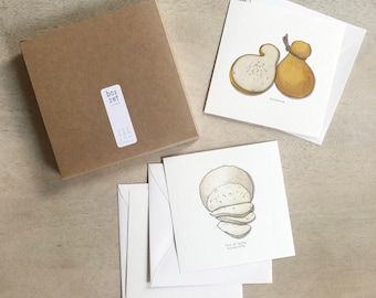 Cheese: Mozzarella / Cards Box Set / Notecards / Flat Cards / Watercolor Illustration / Gifts / Gift Boxes / Burrata / Bocconcini / Scamorza