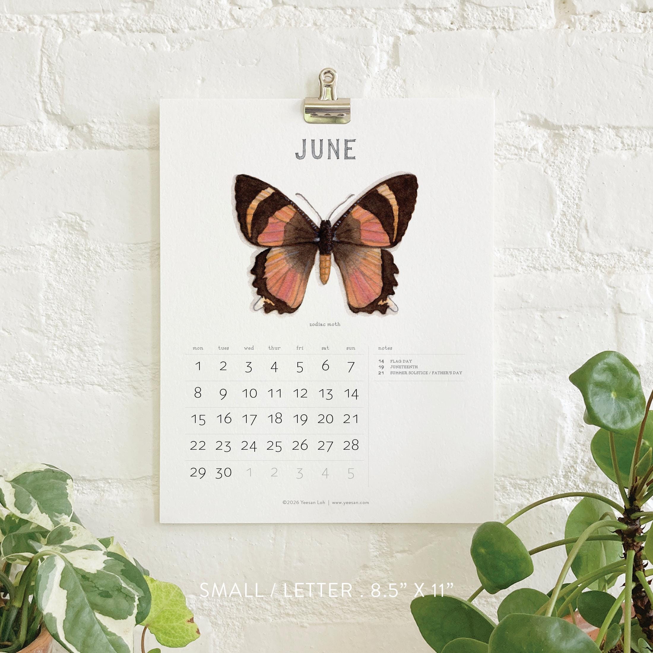 BUTTERFLIES 2023 SQUARE WALL CALENDAR