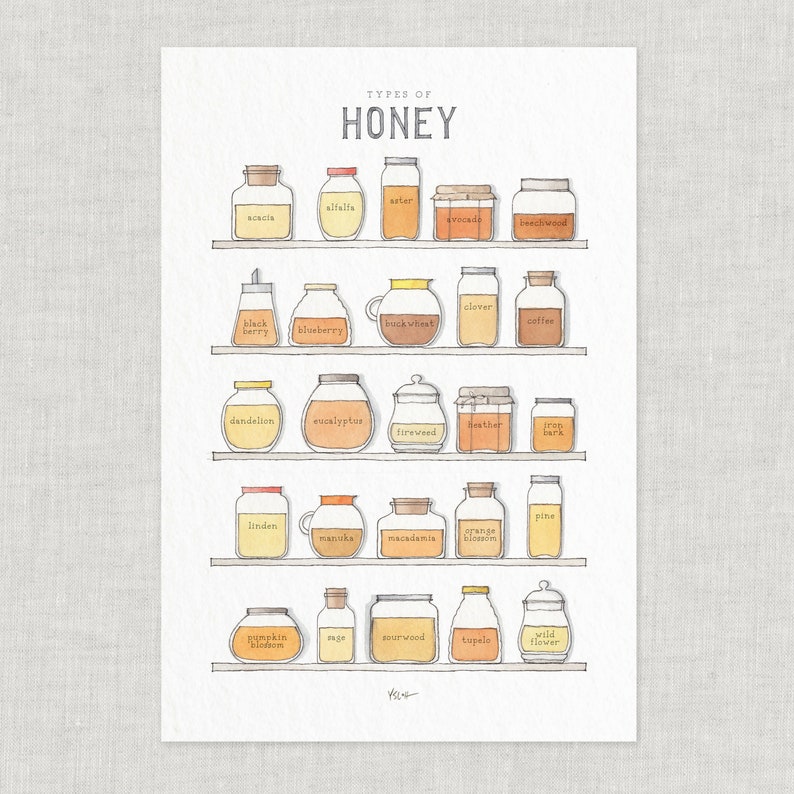 Types of Honey: Poster / Food / Fruit / Illustrations / Art Print / Home Decor / Manuka / Wildflower / Orange Blossom / Tupelo / Clover image 1