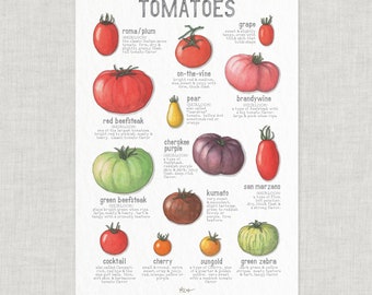 Tomatoes / Poster / Food / Vegetables / Fruit / Illustrations / Art Print / Home Decor