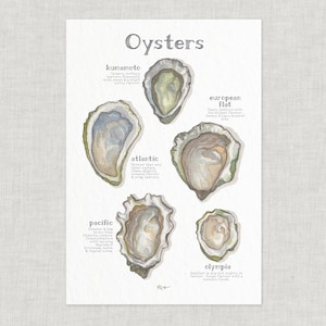 Oysters / Poster / Seafood / Food / Food & Cooking / Illustrations / Art Print / Home Decor image 1