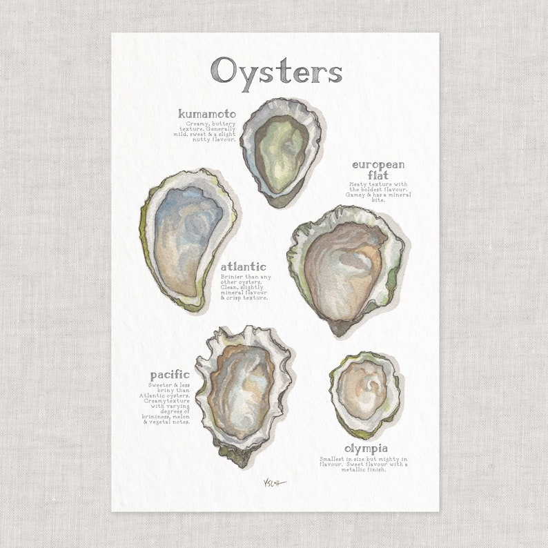 Oysters / Poster / Seafood / Food / Food & Cooking / Illustrations / Art Print / Home Decor image 1