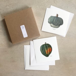 Winter Squash: Cards Box Set / Grußkarten / Flache Karten / Aquarell Illustration / Geschenke / Geschenkboxen / Gemüse / Eichel / Butternuss
