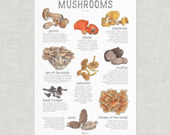 Mushrooms: Wild  / Poster / Food / Vegetables / Illustrations / Art Print / Home Decor / Kitchen / Nature / Mushroom