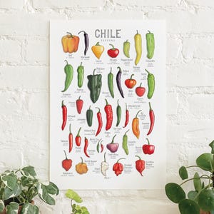 May include: A colorful chart of different types of chili peppers, with illustrations of each pepper and its name, origin, and heat level. The chart is titled "Chile Peppers".