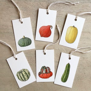 Calabaza de invierno 2 de 2: Etiquetas de regalo / Cumpleaños / Aniversario / Recuerdos de fiesta / Verduras / Invierno / Kabocha / Calabaza / Espagueti / Turbante / Kuri