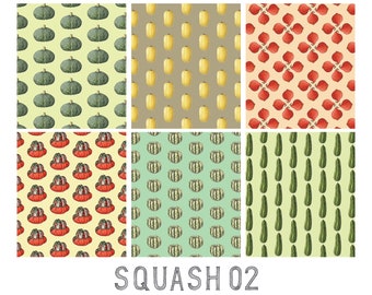 Squash 2 of 2: Gift Wrap Paper (13x19 sheet) / Birthday / Parties / Anniversary / Holidays / Winter Squash / Red Kuri / Turban / Spaghetti