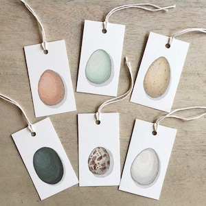Oeufs : Types / Étiquettes cadeaux / Illustration aquarelle / Pâques / Baby Shower / Vacances / Nouvel An / Étiquette cadeau / Oeuf / Araucana / Poulet / Emu