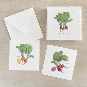 Beets: Box Set Cards
