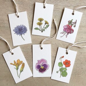 Flores Comestibles 02: Etiquetas de Regalo / Cumpleaños / Aniversario / Recuerdos de Fiesta / Flor / Flora / Naturaleza / Flores de Calabaza / Aciano / Fucsia