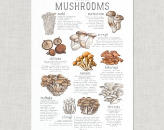 Mushrooms: Japanese  / Poster / Food / Vegetables / Illustrations / Art Print / Home Decor / Kitchen / Nature / Mushroom / Shiitake / Nameko