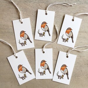 Pájaros: Robin / Etiquetas de regalo / Favores de fiesta / Cumpleaños / San Valentín / Aniversario / Días festivos / Pájaro