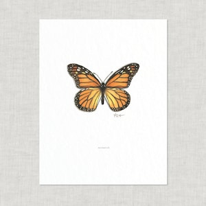 Butterflies & Moths (2 of 3): 38.5 x 11 Art Prints / Watercolor Illustration / Art Print / Home Decor / Butterfly / Moth / Monarch / Luna