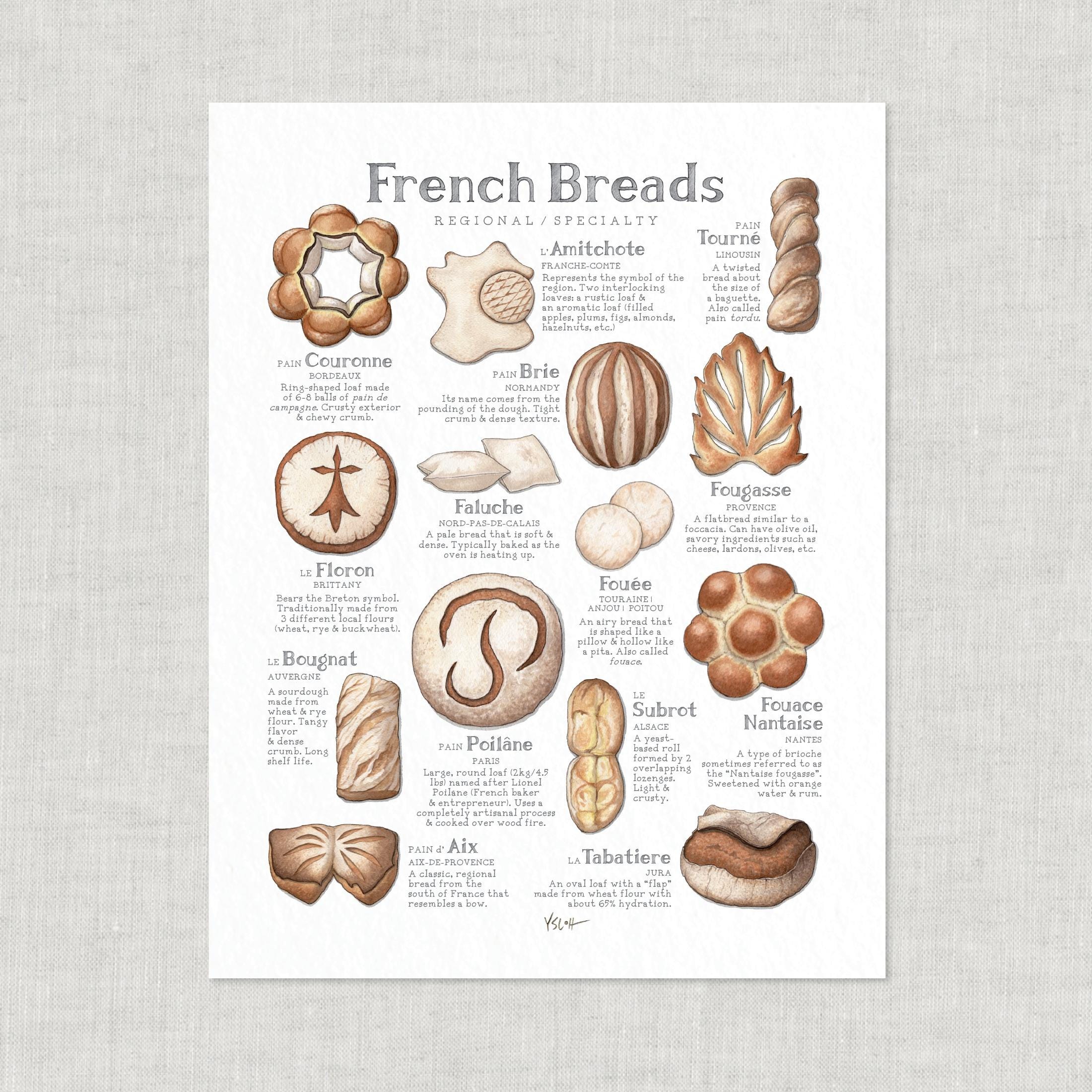 types-of-french-bread-shapes
