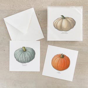 Calabazas: Tarjetas del set de caja