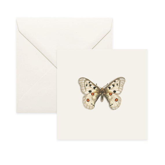 Common Opal Notecard Thank You Card Message Card Birthday Card Nature Illustration Butterfly Insect Insects Butterflies