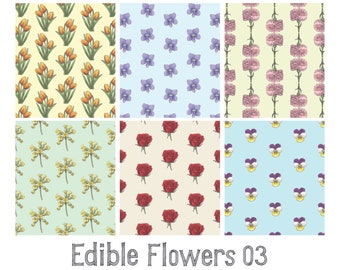 Edible Flowers 03: Gift Wrap Paper / Birthday / Parties / Anniversary / Holidays / Flower / Nature / Rose / Tulips / Violet / Carnation