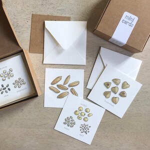 Granos antiguos: Juego de cajas de mini tarjetas / Etiquetas de regalo / Ilustración en acuarela / Mensajes diminutos / Favores de fiesta / Rellenos de medias / Cestas de regalo