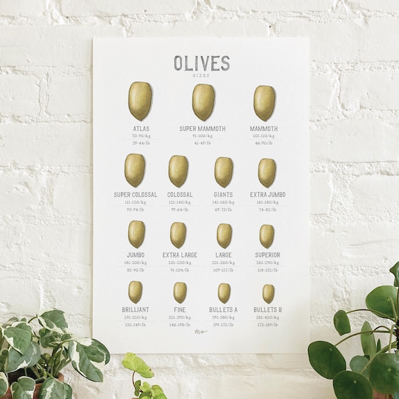oliveページ Olive Sizes: Poster / Food / Illustrations / Art Print / Home