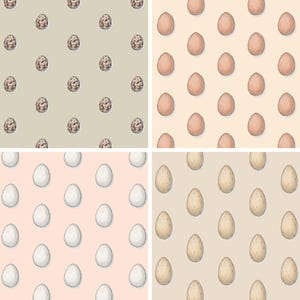 Huevos: Papel de regalo (hoja de 13x19) / Cumpleaños / Fiestas / Baby Shower / Días festivos / Pascua / Huevo / Pollo / Araucana / Emú / Pavo / Codorniz