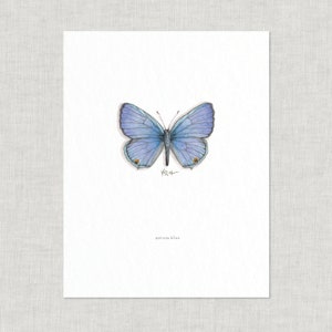 Butterflies & Moths (3 of 3): 8.5 x 11 Art Prints / Watercolor Illustration / Art Print / Home Decor / Butterfly / Moth / Zodiac / Xerces