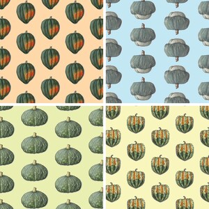 Calabaza de invierno 1 de 2: Papel de regalo (hoja de 13x19) / Cumpleaños / Fiestas / Aniversario / Días festivos / Bellota / Delicata / Carnaval / Ranúnculo