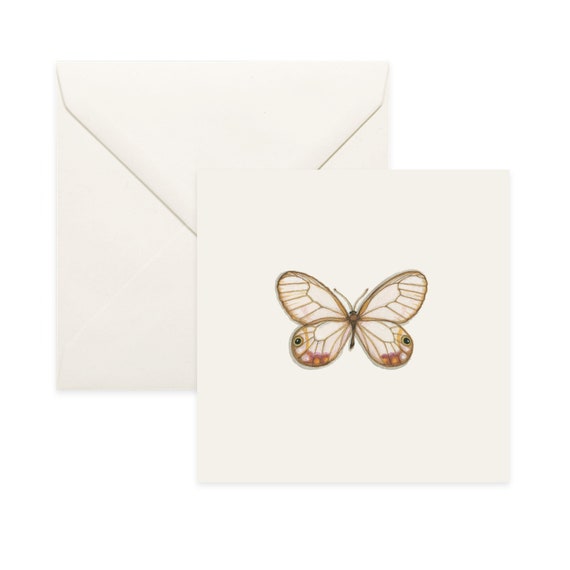 Common Opal Notecard Thank You Card Message Card Birthday Card Nature Illustration Butterfly Insect Insects Butterflies