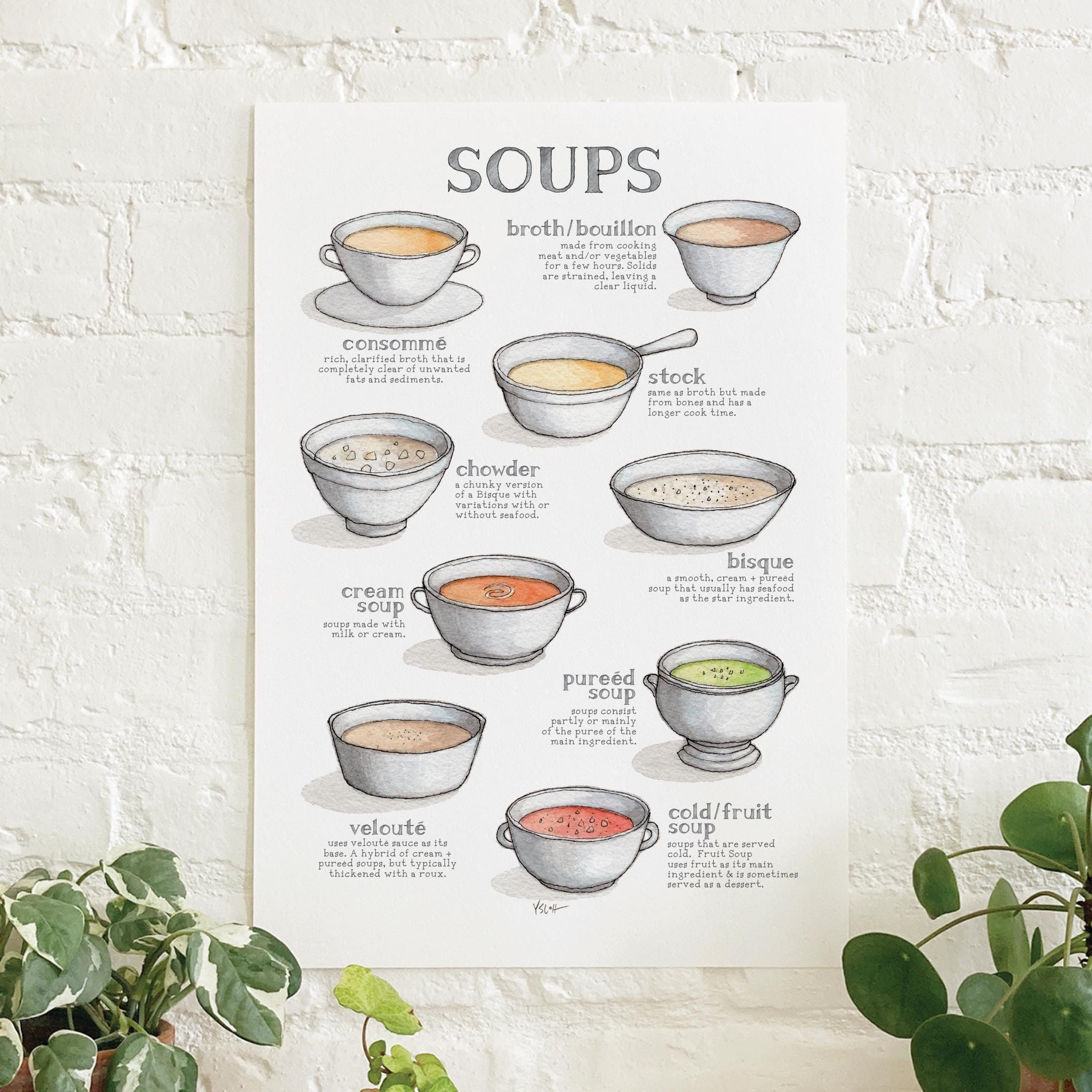 Soups (Types): Poster / Food / Food & Cooking / Illustrations / Art Print / Home Decor / Veloute / Consomme / Broth / Pureed / Chowder
