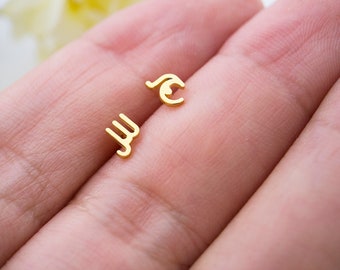 Farsi Earrings Tiny, 14k Gold, Urdu Earrings, Iranian Earrings, Arabic Initial Earrings, Arabic Name Earrings, Custom Stud Earrings