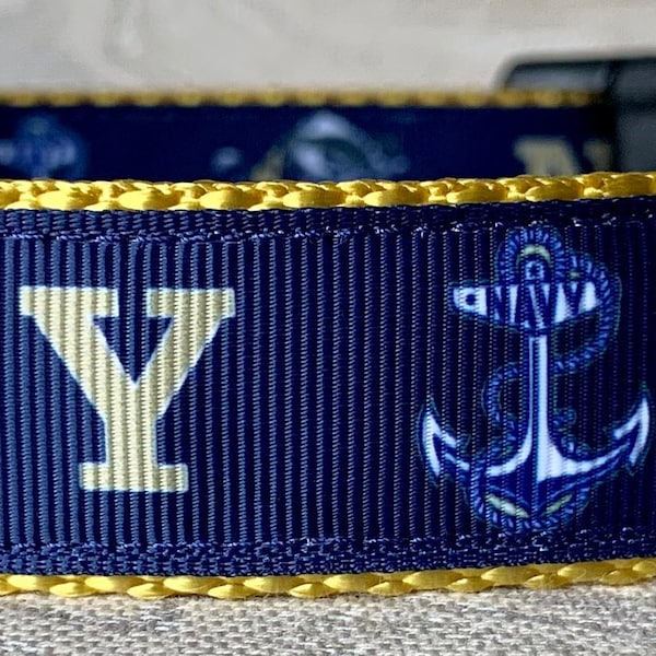 Navy & Anchors Dog Collar