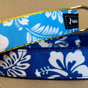 Könnte beinhalten: Zwei Hundehalsbänder mit floralem Muster. Eines ist hellblau mit weißen Blumen und goldenem Rand, das andere ist dunkelblau mit weißen Blumen. Beide haben einen Metall-D-Ring und ein schwarzes Etikett mit weißem Logo.