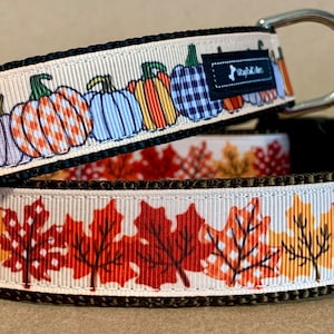 May include: Two dog collars with a white background and a black border. The top collar has a pattern of pumpkins with orange, white, and black colors. The bottom collar has a pattern of orange and red leaves. Both collars have a silver metal buckle and a black tag that says "Top Collar".