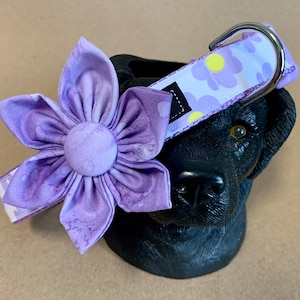 Lavender Floral Dog Collar