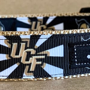 UCF Flash Inspired Dog Collar