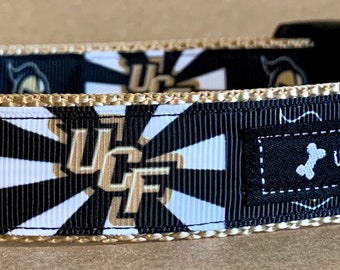 UCF Flash Inspired Dog Collar