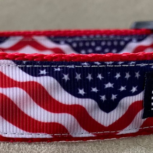 Grand Old Flag Dog Collar