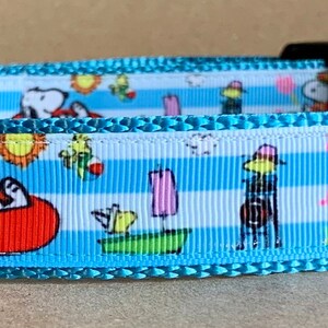 Swimming Rafting  Dog Collar