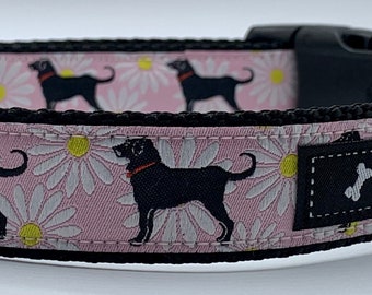 collars for labs