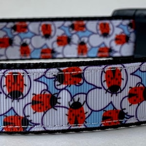 Lady Bugs on Flower Dog Collar