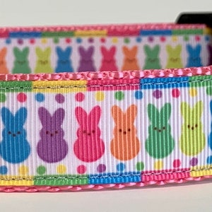 Easter Peeps Rainbow Border Dog Collar