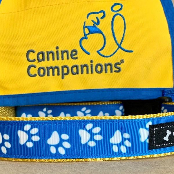 CC Blue & White Paws PIP Dog Collar