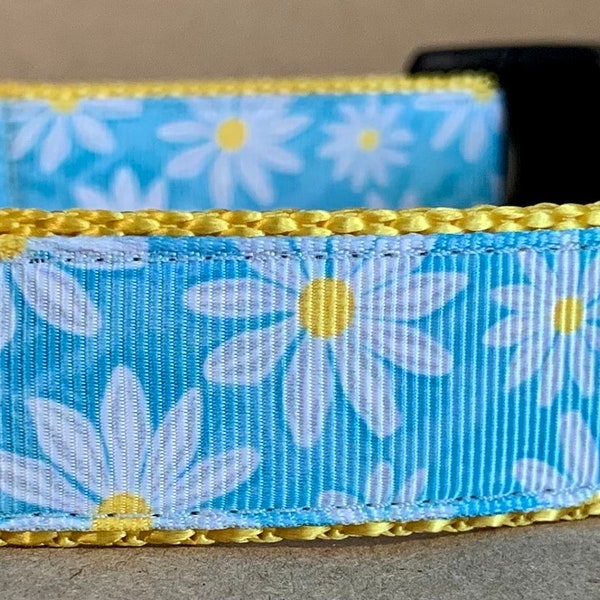 Pastel Blue Daisy Dog Collar