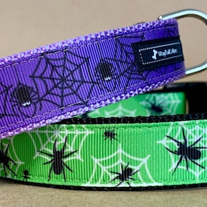 May include: Two Halloween-themed dog collars. One is purple with black spiderwebs and spiders, the other is green with white spiderwebs and black spiders. Both collars have a metal D-ring and a black buckle.