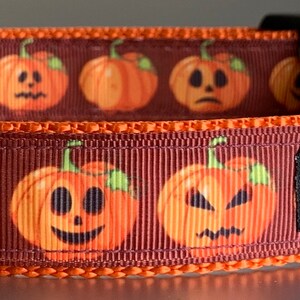 Fall Pumpkins Lined Up Dog Collar
