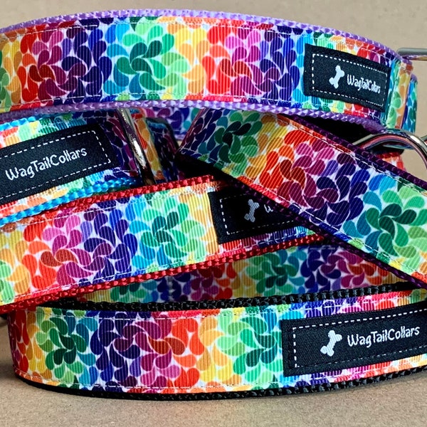 Rainbow Swirl Dog Collar