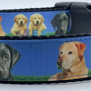 Labrador Family Dog Collar