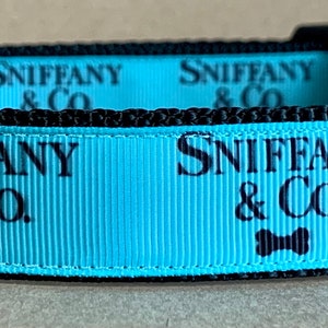 Sniffany Dog Collar