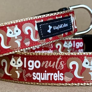 Puede incluir: Dos collares rojos para perros con un patrón repetido de ardillas y bellotas. Un collar dice "I go nuts for squirrels". Los collares tienen hebillas de plástico negro y anillas en D de metal plateado. La marca "WagTailColars" está en una etiqueta negra.