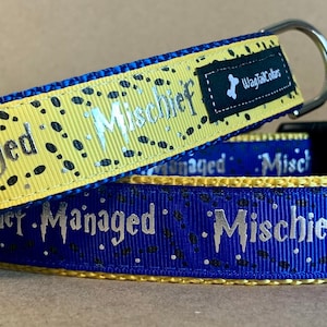 Könnte beinhalten: Zwei Hundehalsbänder, eines gelb und eines blau, mit den Worten "Mischief Managed" in silbernen Buchstaben. Das gelbe Halsband hat schwarze Pfotenabdrücke. Beide Halsbänder haben eine schwarze Schnalle und einen silbernen Metallring.