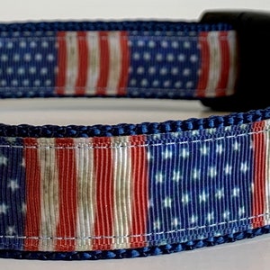 American Vintage  Dog Collar